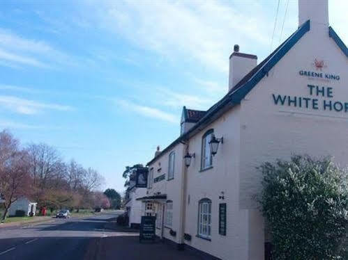 The White Horse Hotell Beyton Eksteriør bilde